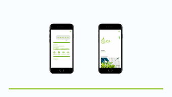 威海農(nóng)業(yè)品牌形象塑造 從Logo設(shè)計(jì)到移動(dòng)應(yīng)用開(kāi)發(fā)的全方位升級(jí)